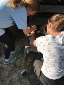 Reparatur Holztreppe 2
