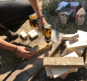 Reparatur Holztreppe 3_zuschnitt